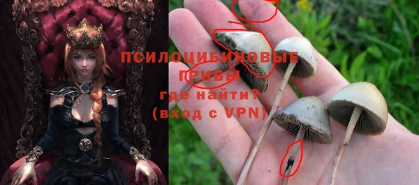 герыч Аркадак