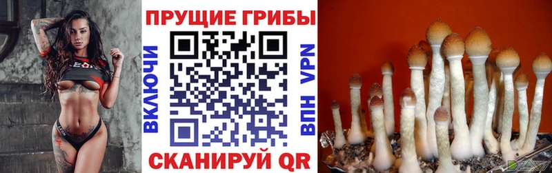 Галлюциногенные грибы прущие грибы Усинск
